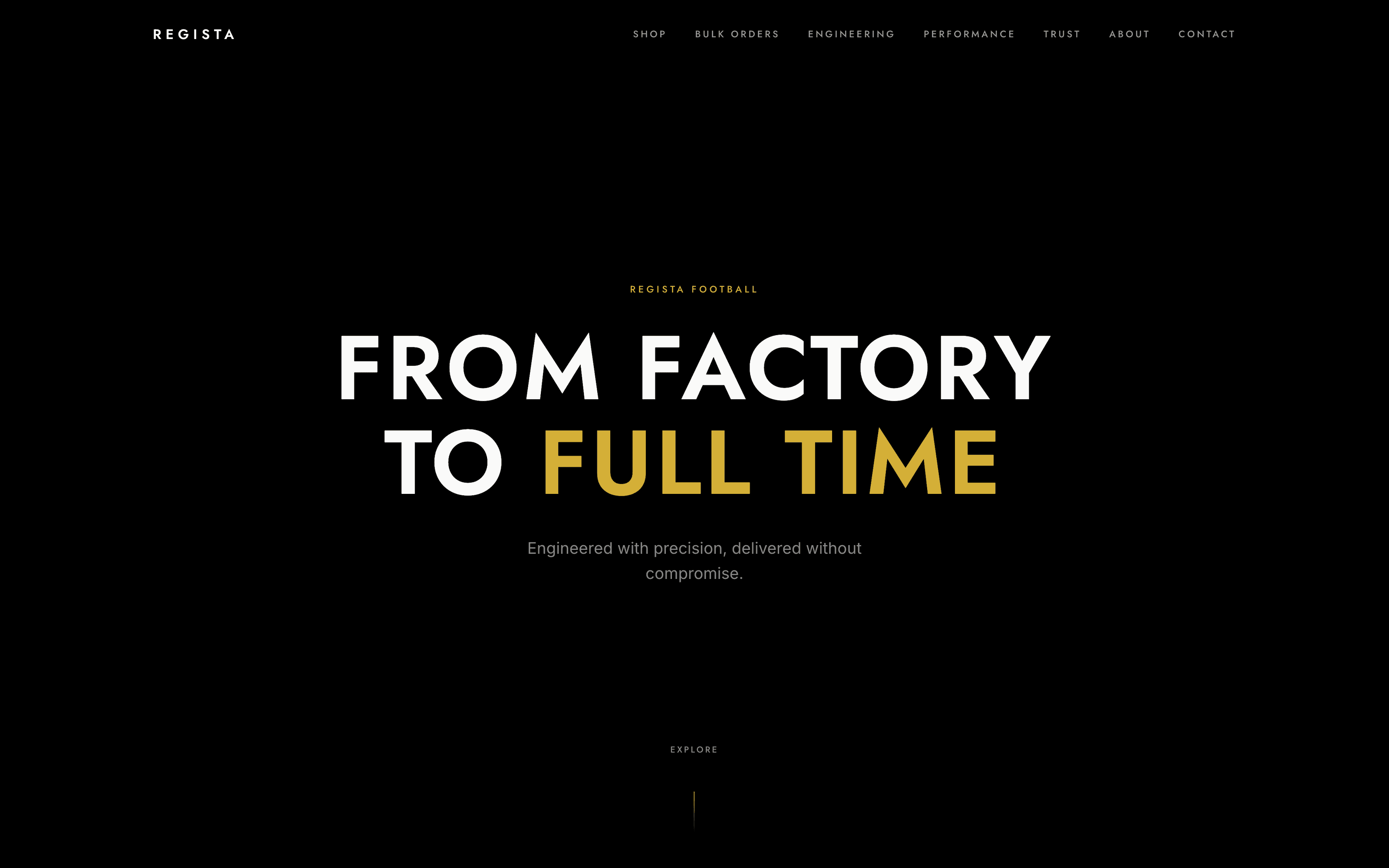 Regista website preview